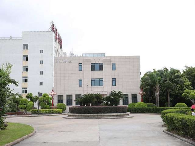 山西金冠酥梨树苗